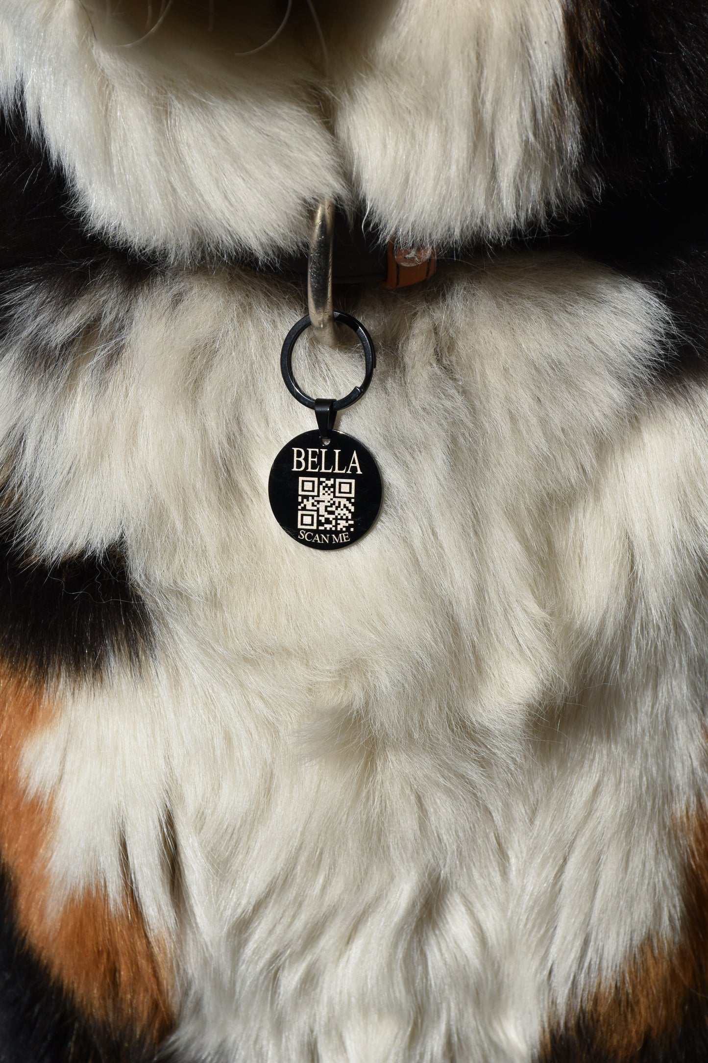 Médaille Gaïa
