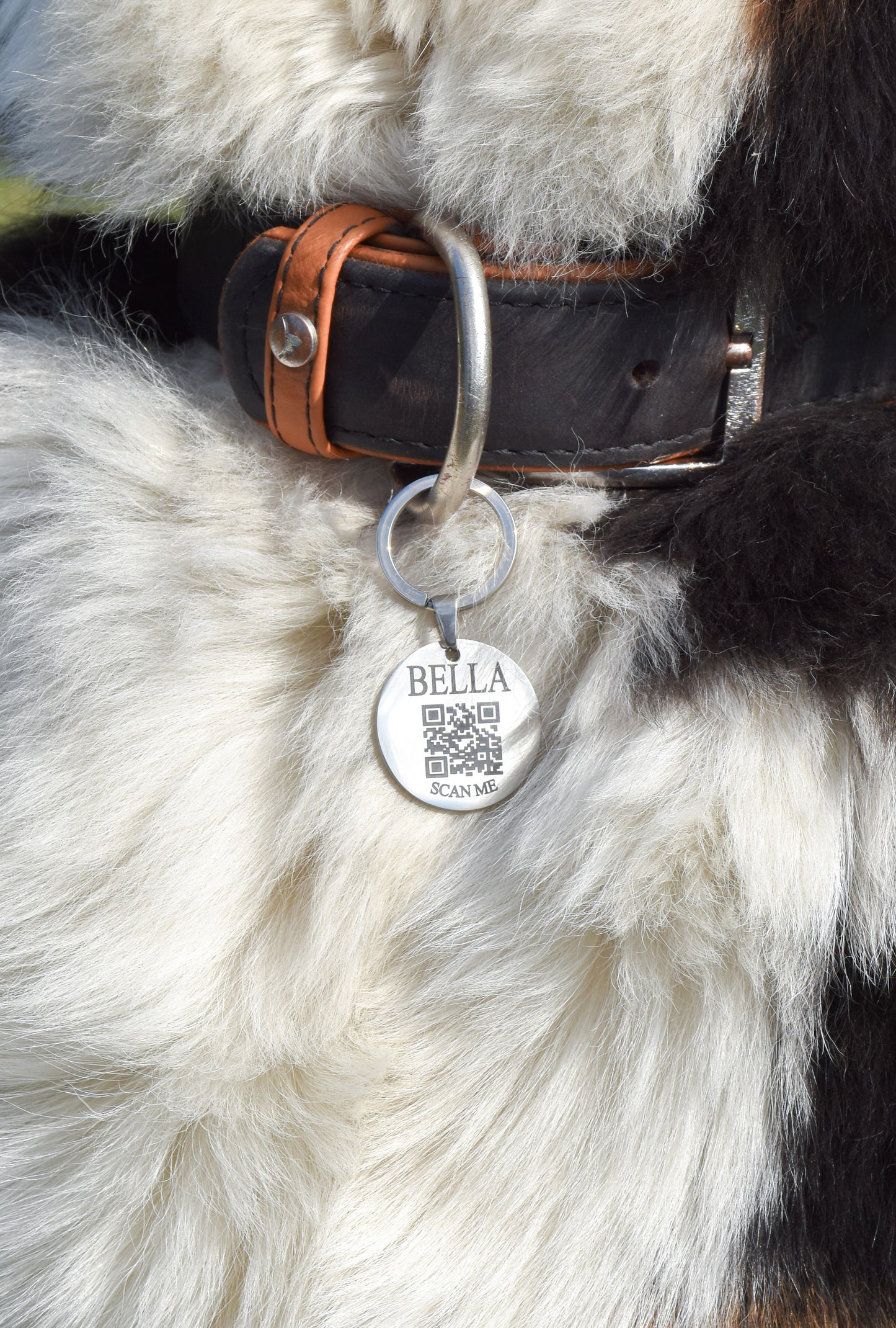 Médaille Gaïa