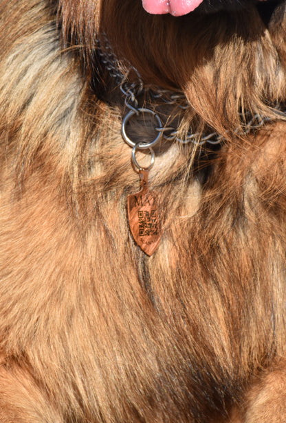 Médaille Kyôn