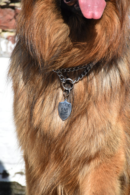 Médaille Kyôn