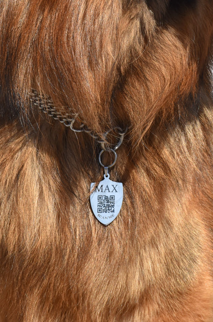 Médaille Kyôn