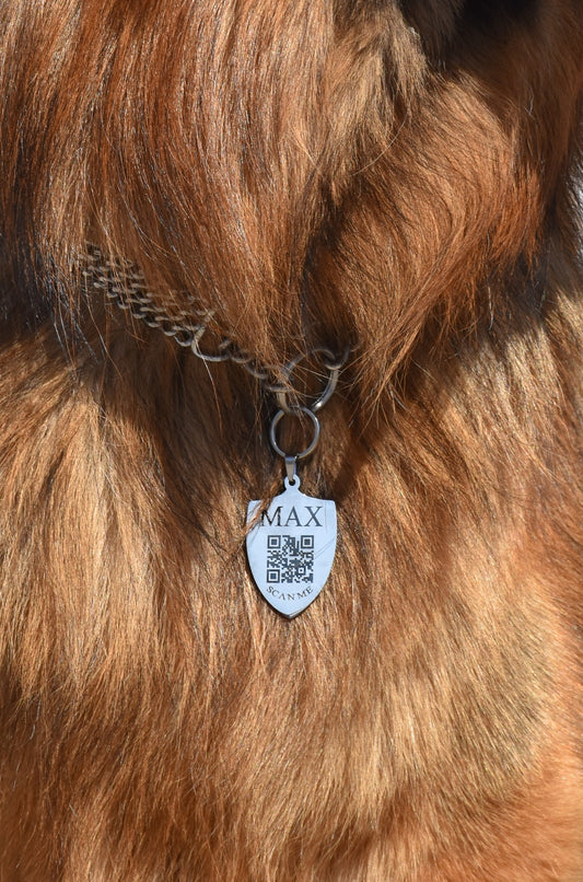 Médaille Kyôn