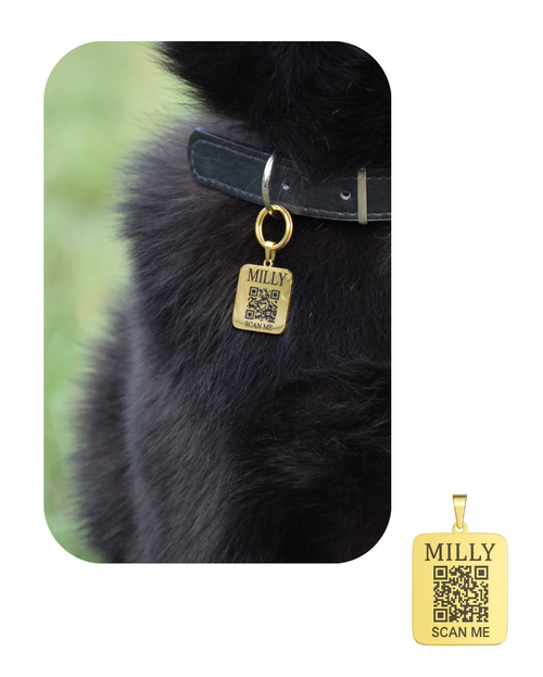 Médaille Milly