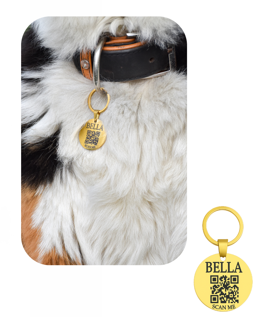 Médaille Gaïa
