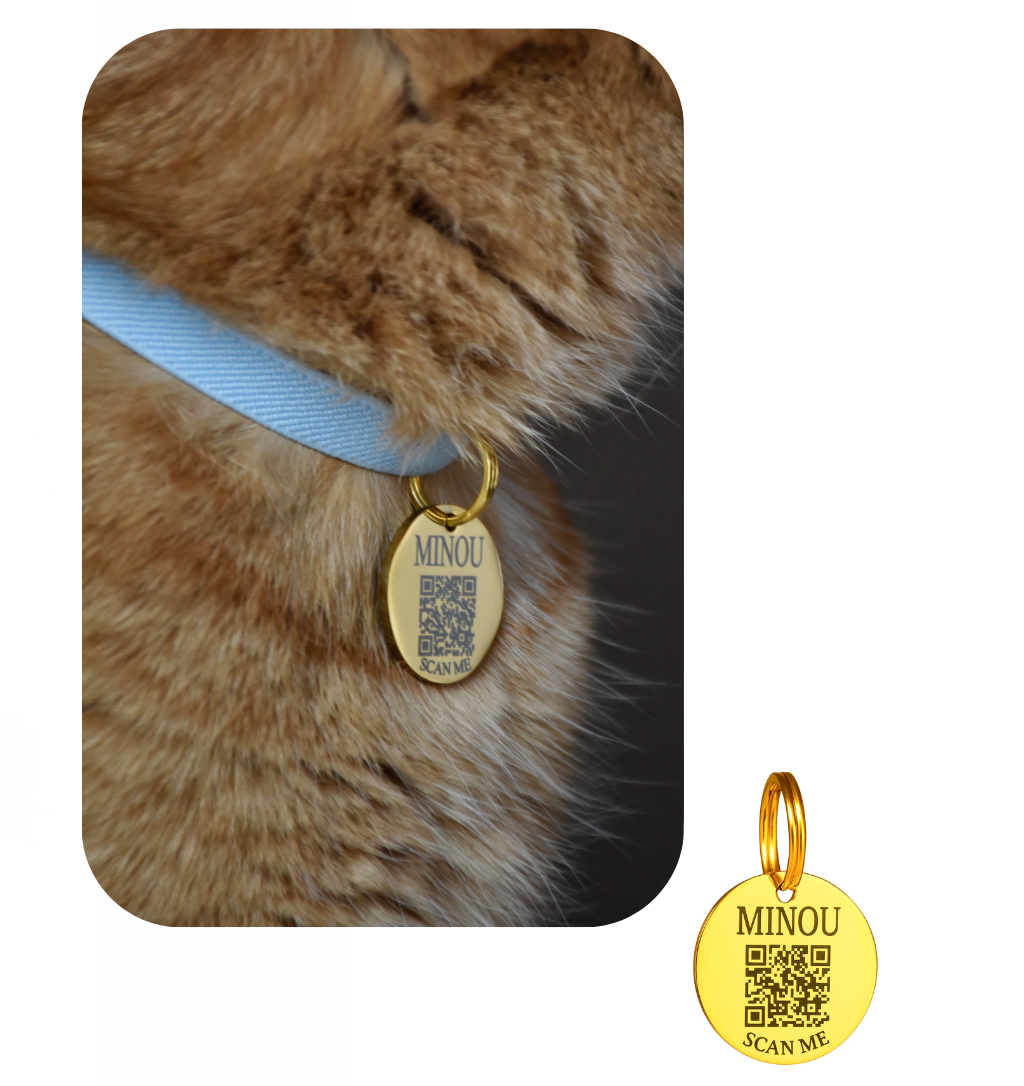 Médaille Minou