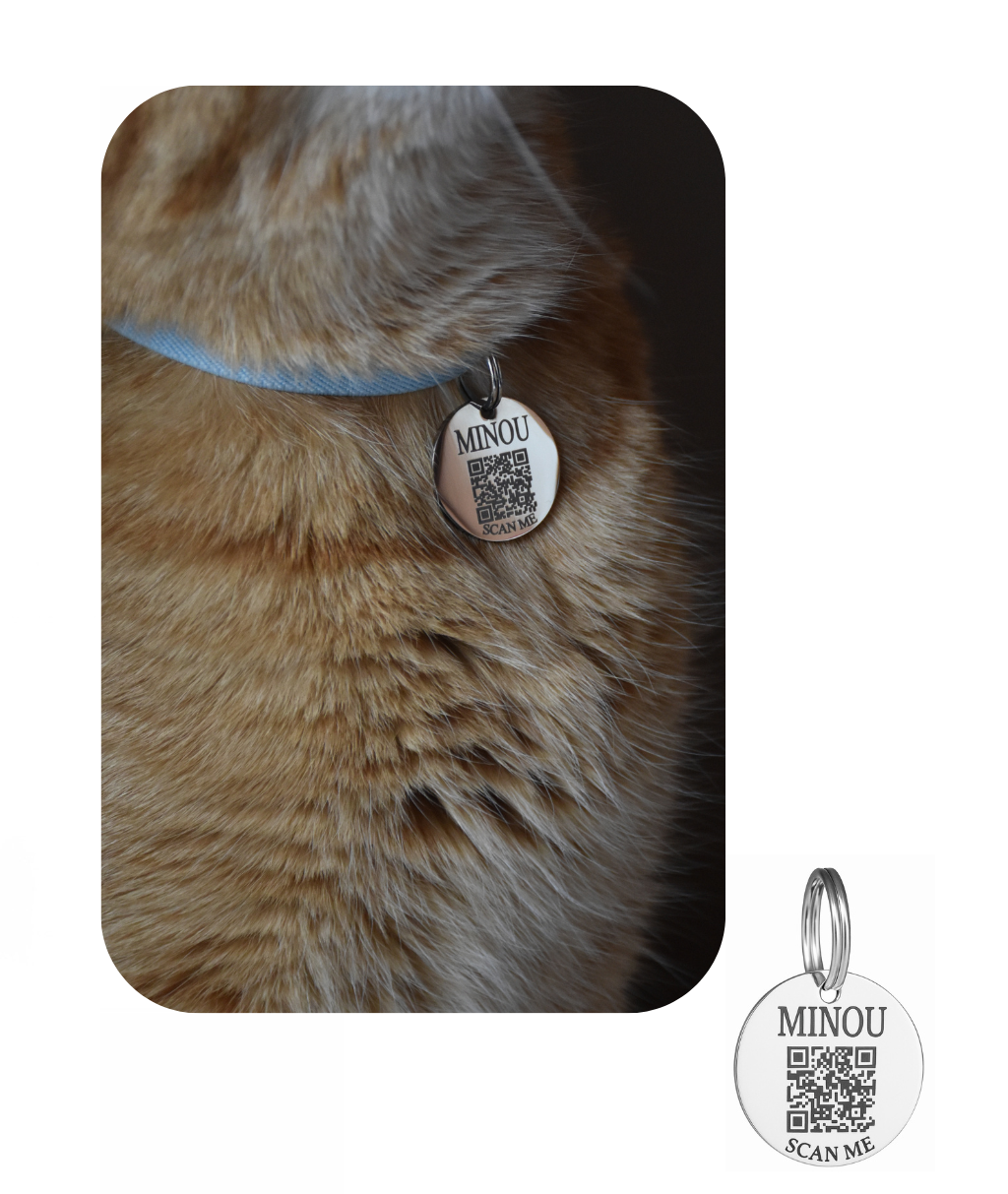 Médaille Minou