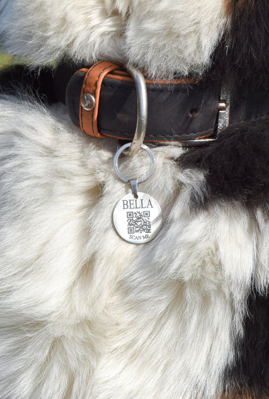 Médaille Gaïa