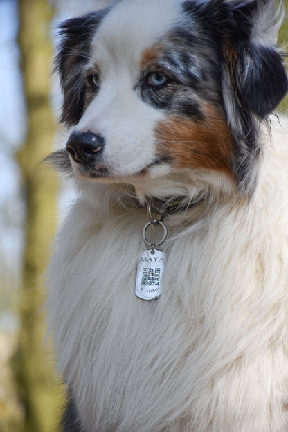 Médaille Zéphyr